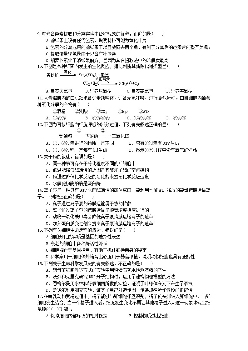 湖北省宜昌市小溪塔高级中学2020届高三上学期期中考试生物试卷02