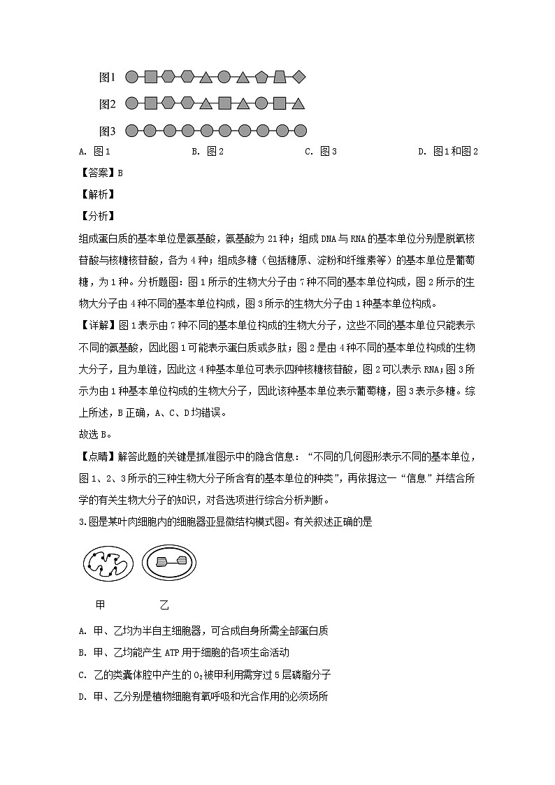 江苏省南通市2020届高三上学期期中考试生物试题02