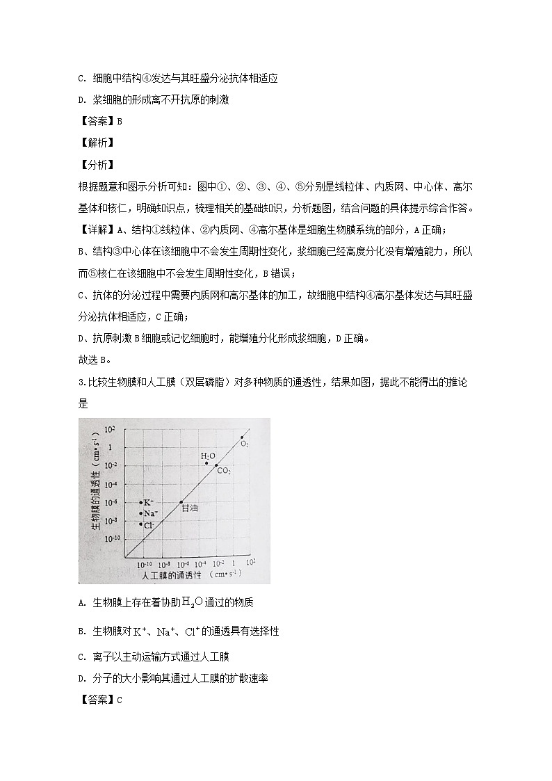 江苏省启东市2020届高三上学期期中考试生物试题02
