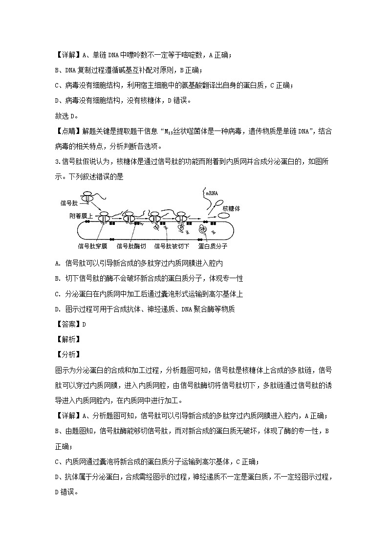 江苏省苏州市2020届高三上学期期中考试生物试题第2页
