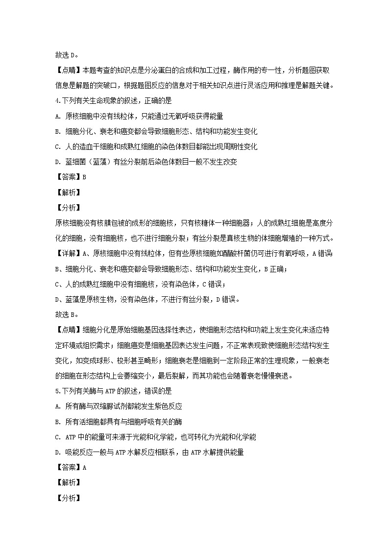 江苏省苏州市2020届高三上学期期中考试生物试题第3页