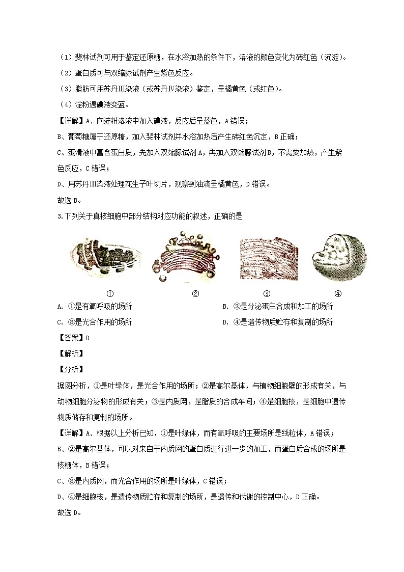 江苏省无锡市2020届高三上学期期中调研生物试题02