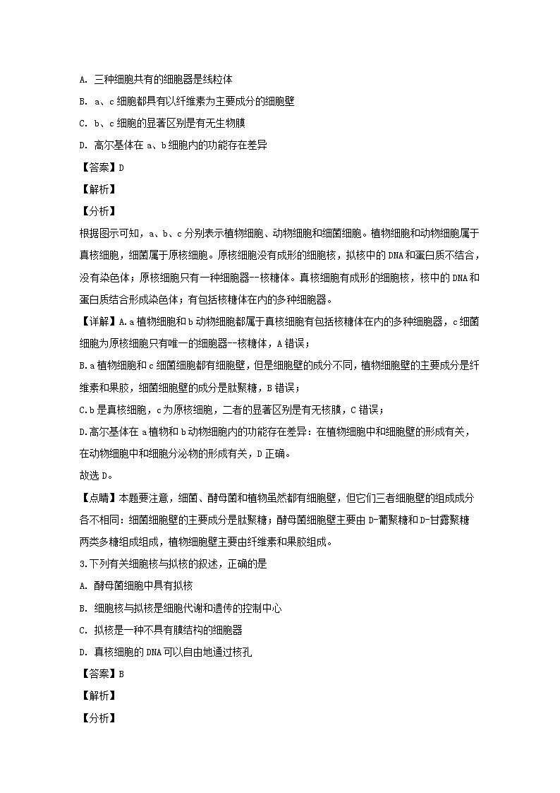 江苏省盐城市2020届高三上学期期中考试生物试题第2页