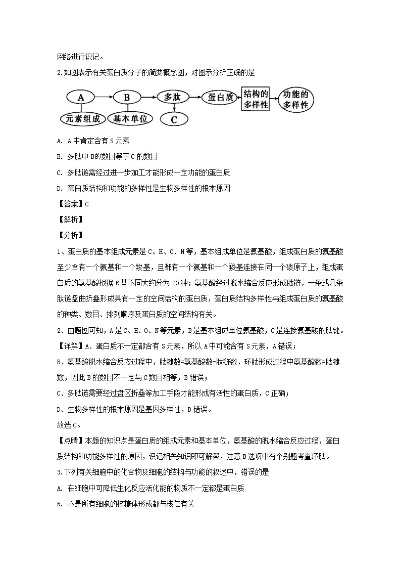 江苏省扬州市2020届高三上学期期中考试生物试题02
