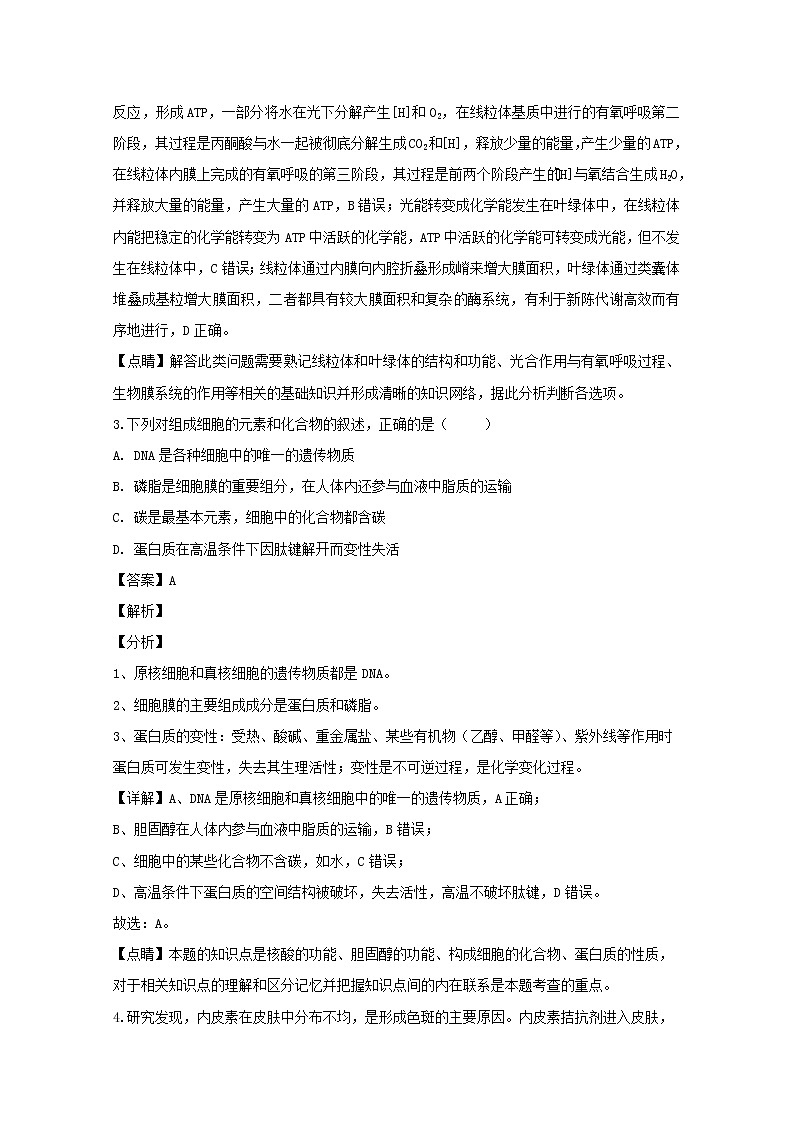 江西省吉安市2020届高三上学期期中考试生物试题02