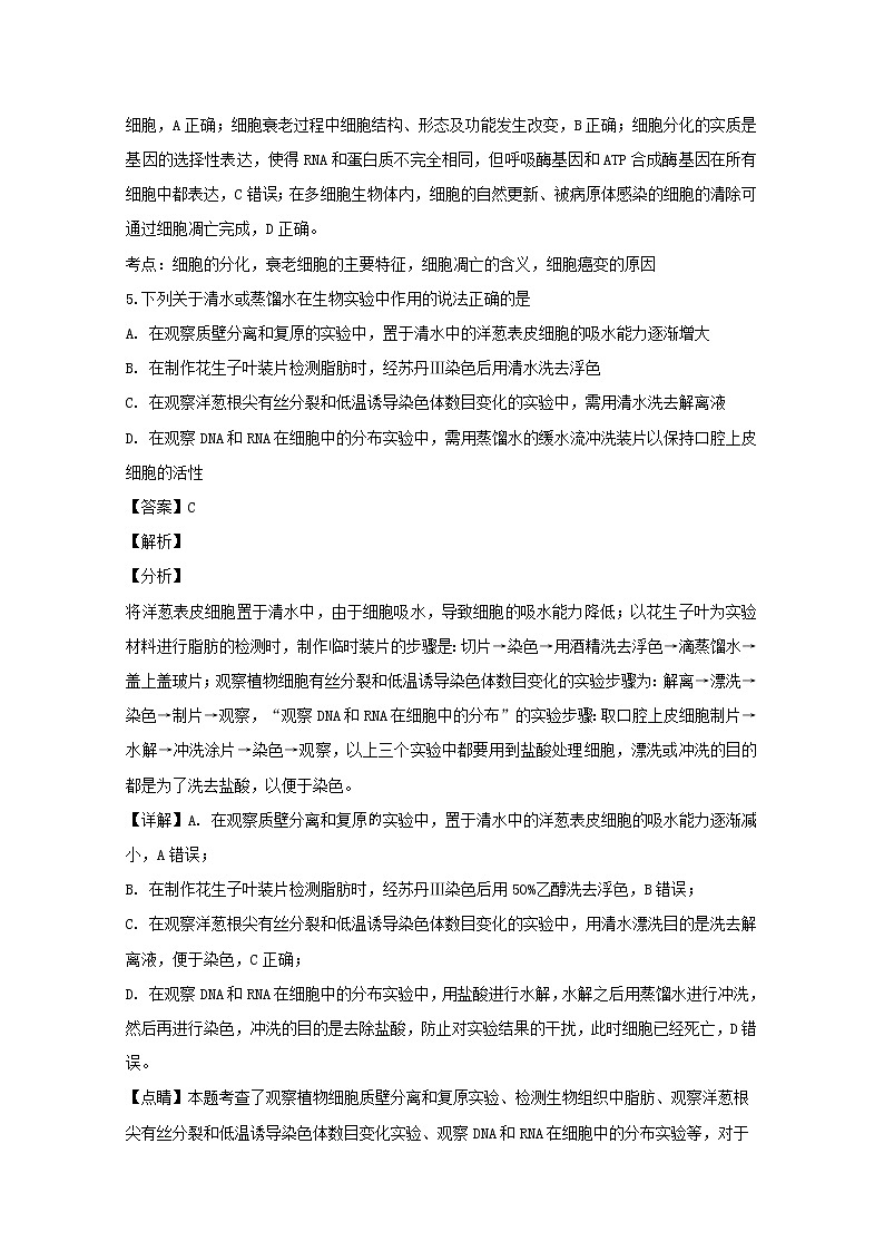 江西省南昌市十中2020届高三上学期期中考试生物试题03