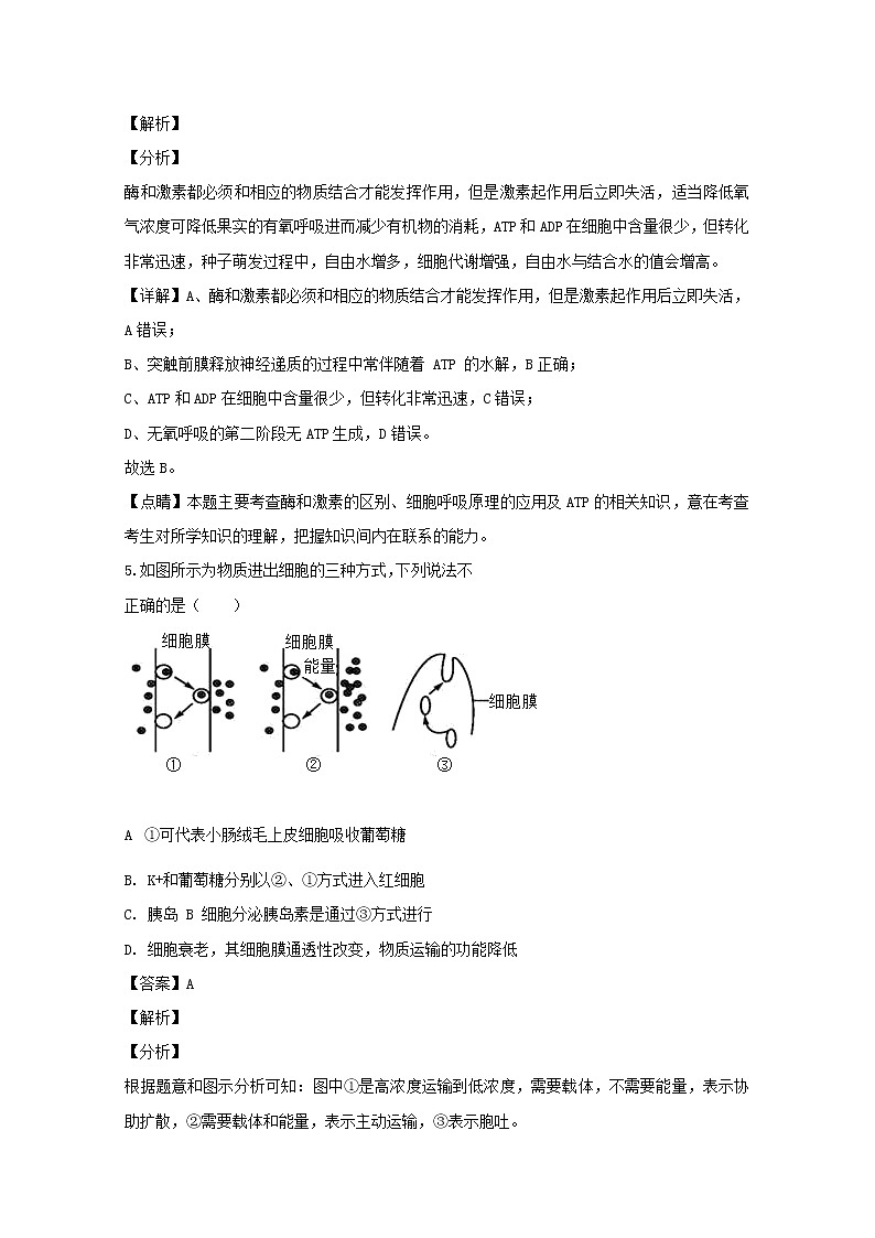 辽宁省朝阳市凌源市联合校2020届高三上学期期中考试生物试题第3页