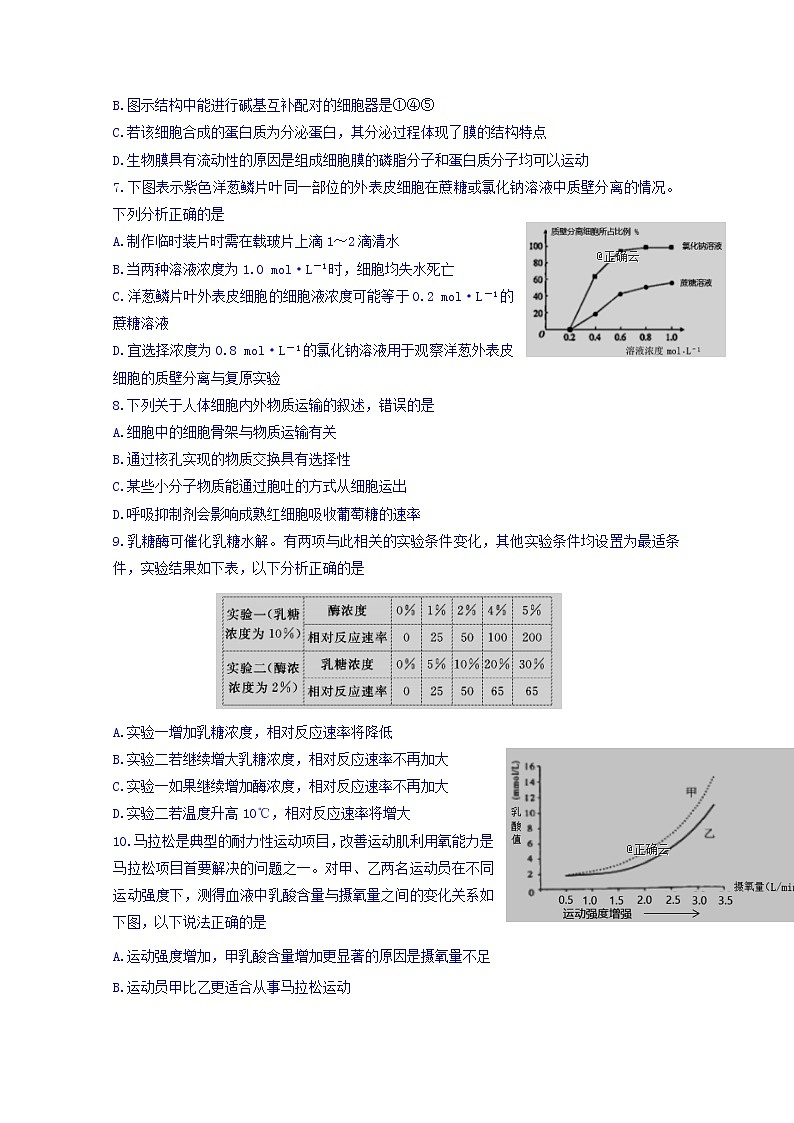 辽宁省六校协作体2020届高三上学期期中考试生物试卷02
