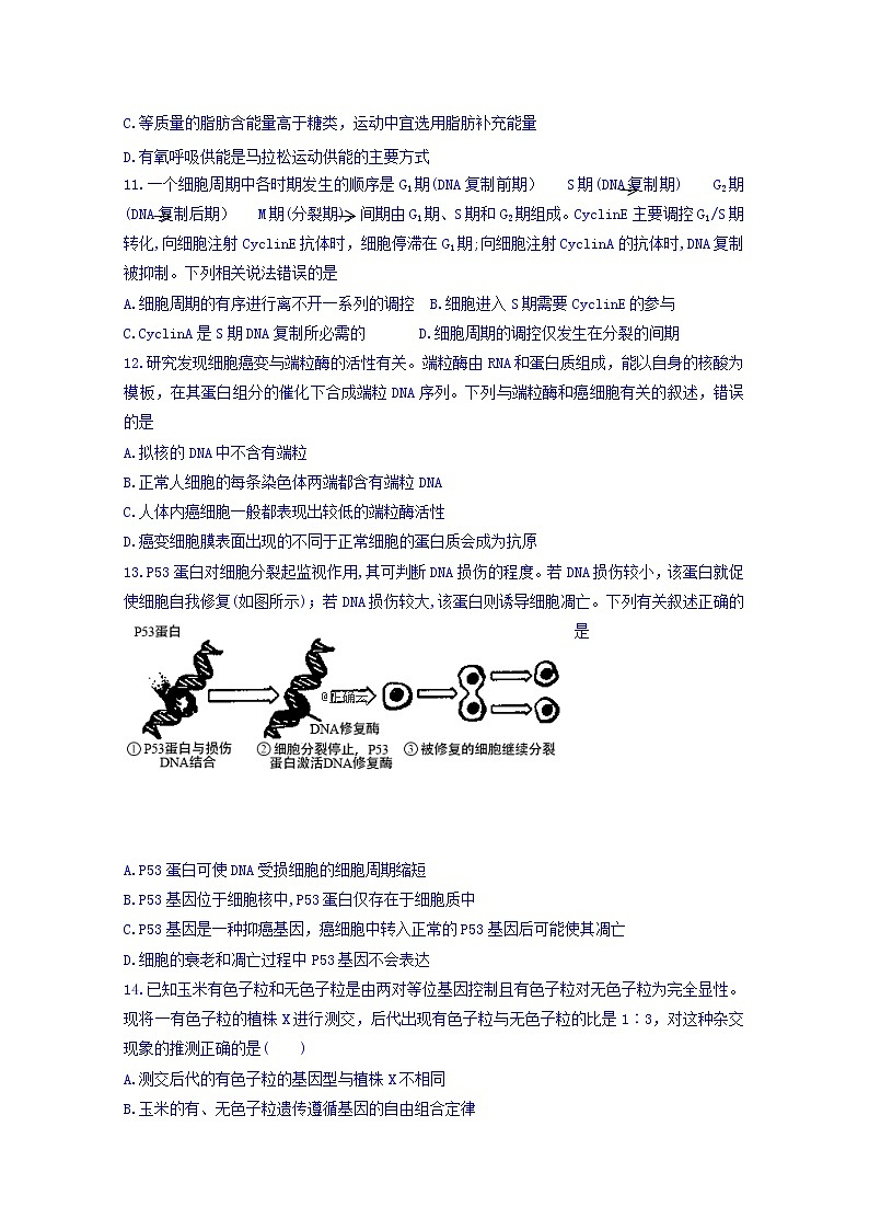 辽宁省六校协作体2020届高三上学期期中考试生物试卷03