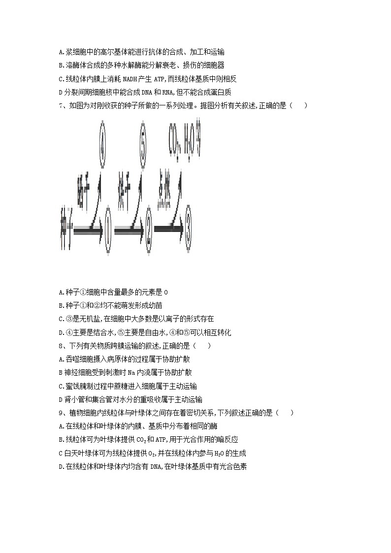 辽宁省沈阳城郊市重点联合体2020届高三上学期期中考试（2）生物试卷02