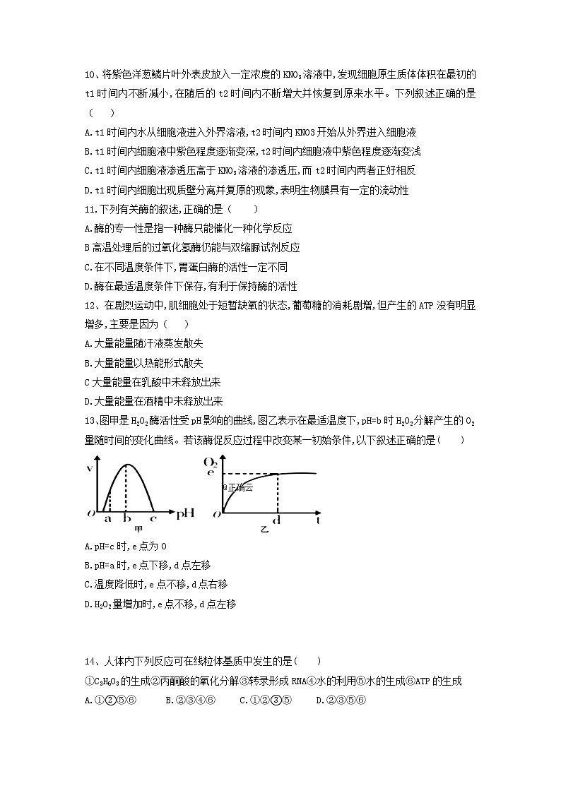 辽宁省沈阳城郊市重点联合体2020届高三上学期期中考试（2）生物试卷03
