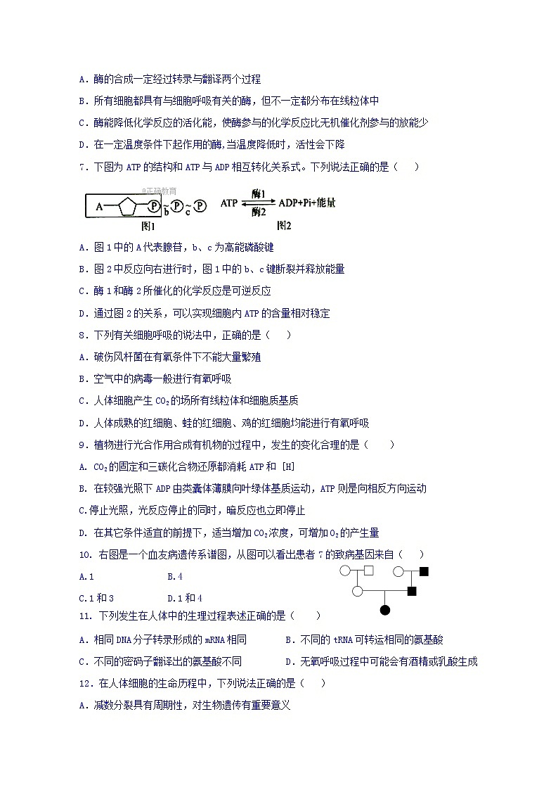 辽宁省沈阳市城郊市重点联合体2020届高三上学期期中考试生物试卷02