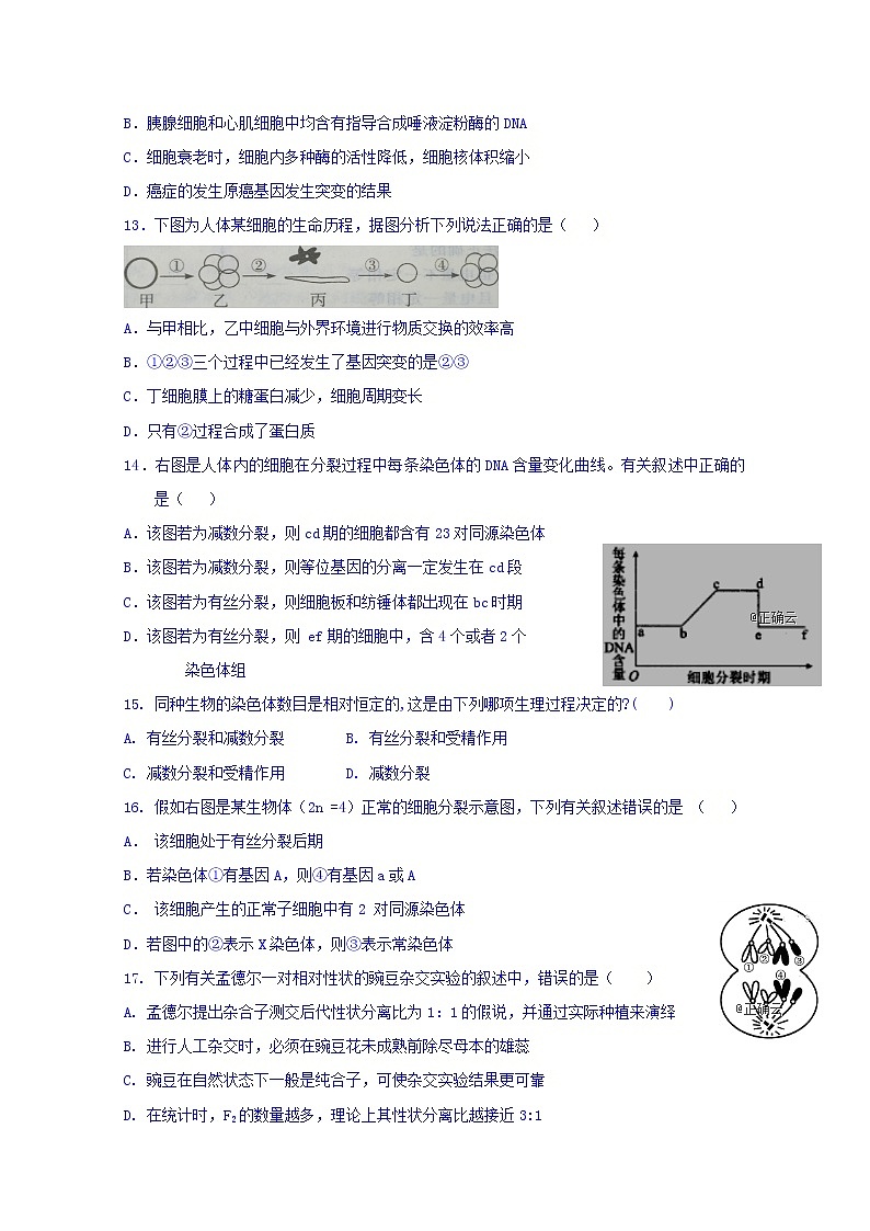 辽宁省沈阳市城郊市重点联合体2020届高三上学期期中考试生物试卷03