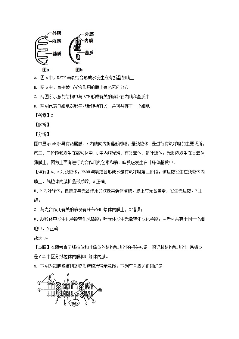 辽宁省沈阳市郊联体2020届高三上学期期中考试生物试题02