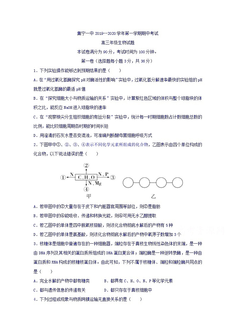 内蒙古集宁一中2020届高三上学期期中考试生物试题01