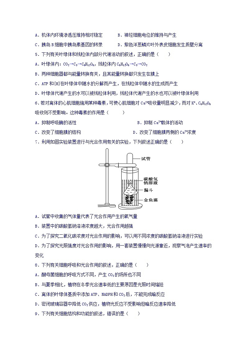 内蒙古集宁一中2020届高三上学期期中考试生物试题02
