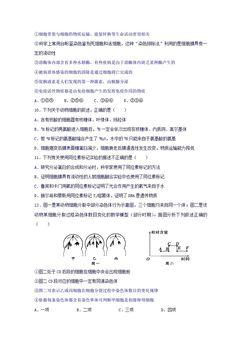 内蒙古集宁一中2020届高三上学期期中考试生物试题03