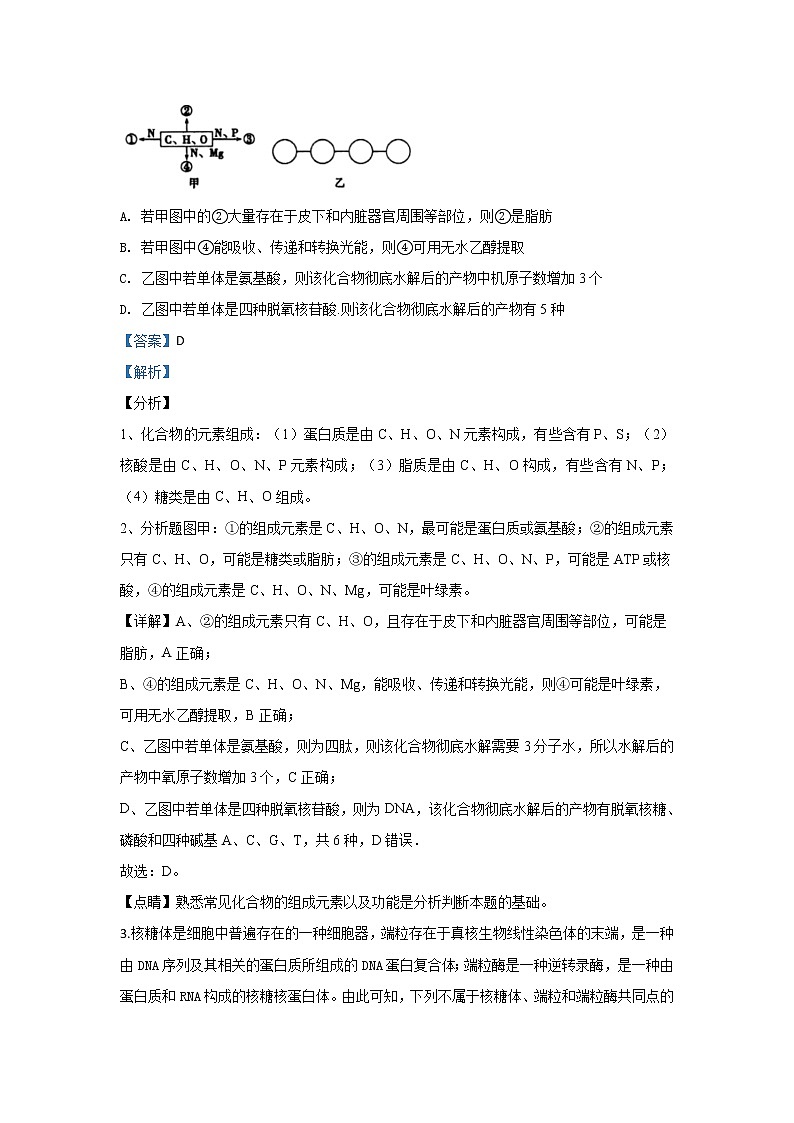 内蒙古自治区乌兰察布市集宁一中2020届高三上学期期中考试生物试题02