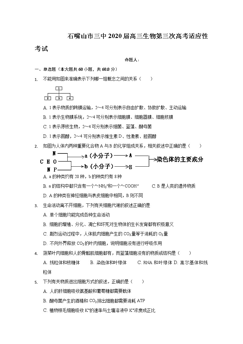 宁夏石嘴山市第三中学2020届高三上学期期中考试生物试题01