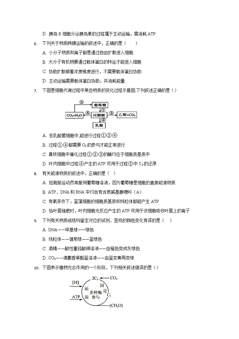 宁夏石嘴山市第三中学2020届高三上学期期中考试生物试题02