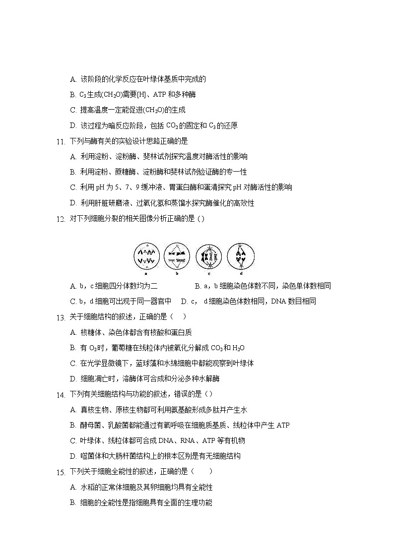 宁夏石嘴山市第三中学2020届高三上学期期中考试生物试题03