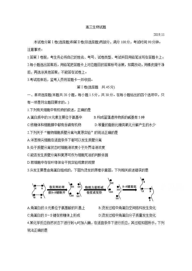 山东省德州市2020届高三上学期期中考试 生物01