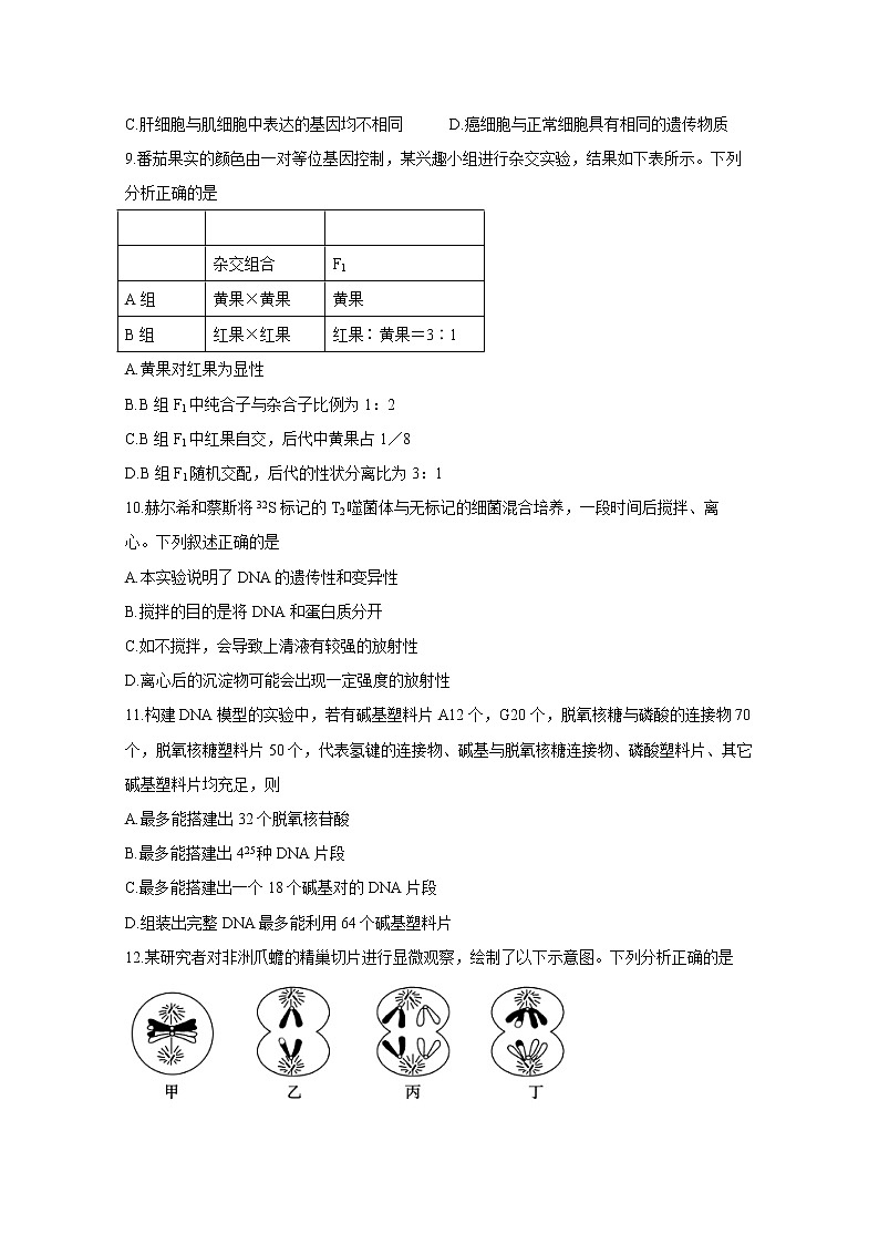 山东省德州市2020届高三上学期期中考试 生物03