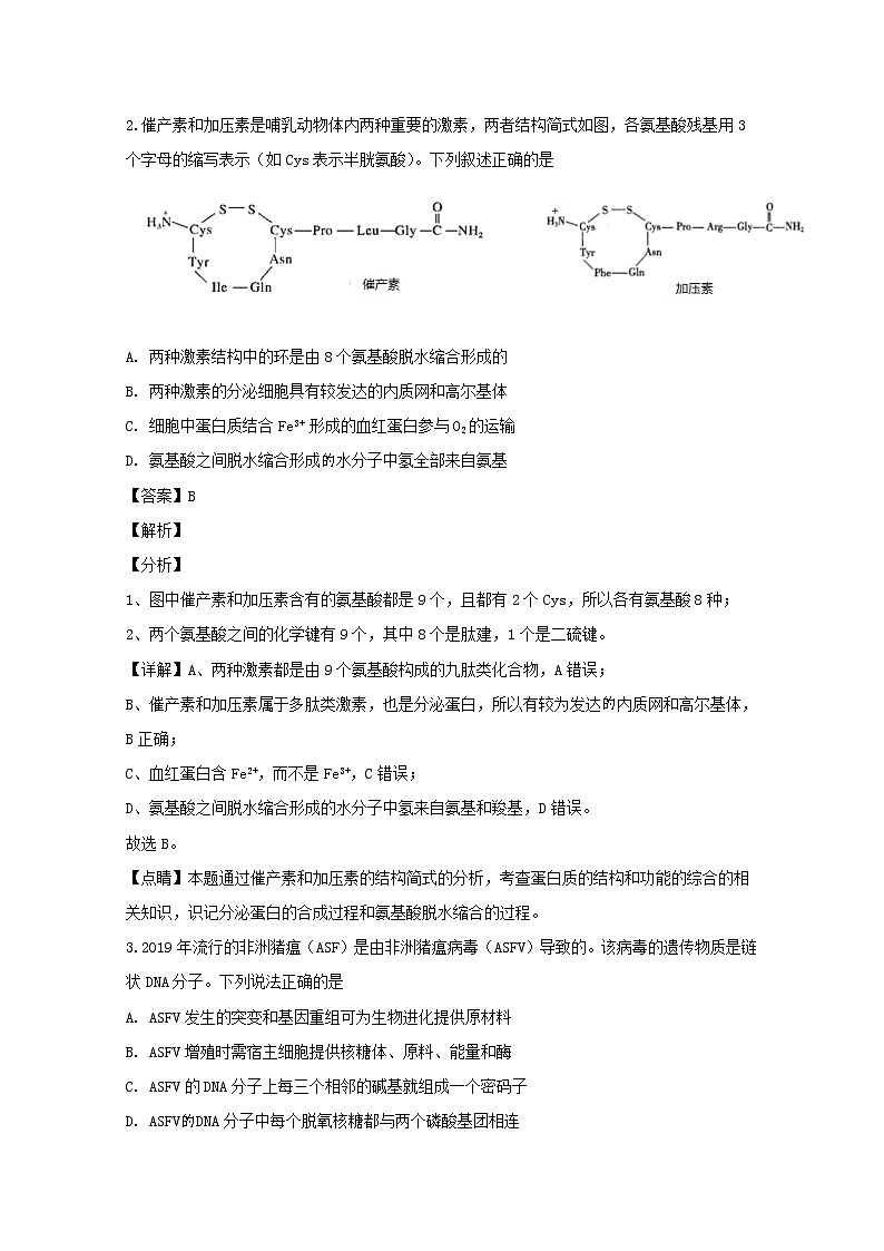 四川省成都市石室中学2020届高三上学期期中考试理综生物试题02
