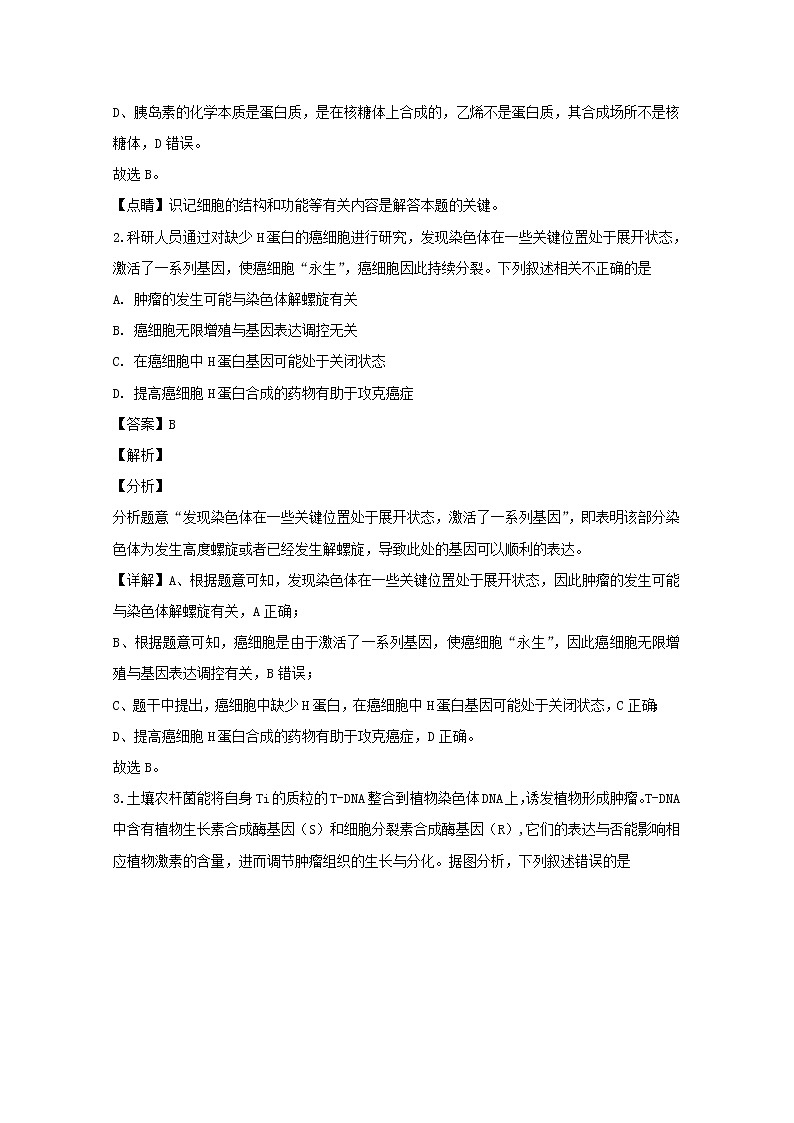 四川省成都市双流区棠湖中学2020届高三上学期期中考试理综生物试题02