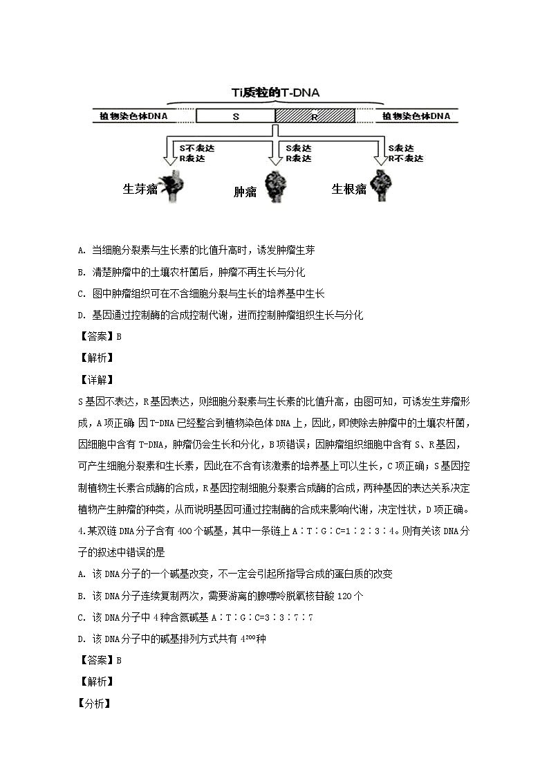 四川省成都市双流区棠湖中学2020届高三上学期期中考试理综生物试题03