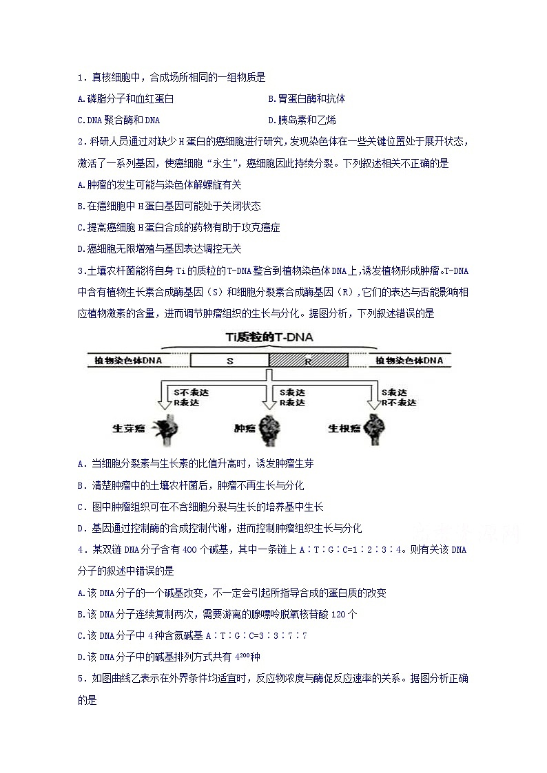 四川省棠湖中学2020届高三上学期期中考试生物试题01