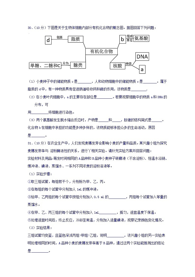 四川省棠湖中学2020届高三上学期期中考试生物试题03