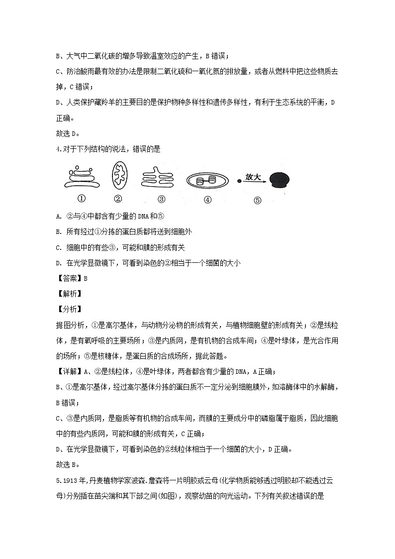 浙江省嘉兴市一中2020届高三上学期期中考试生物试题03