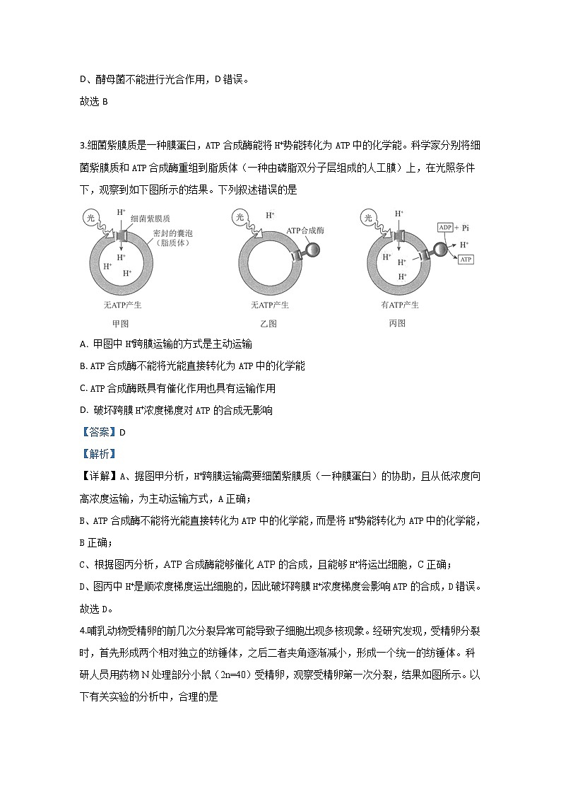 北京海淀区2020届高三下学期期中考试练习（模拟二）生物试题02