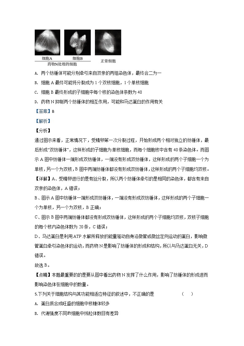 北京海淀区2020届高三下学期期中考试练习（模拟二）生物试题03