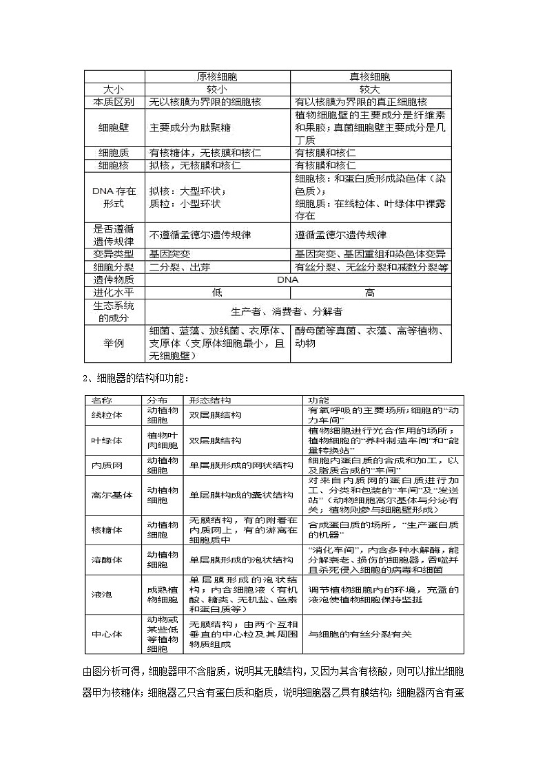 北京市朝阳区2020届高三上学期期中考试质量检测生物试题03