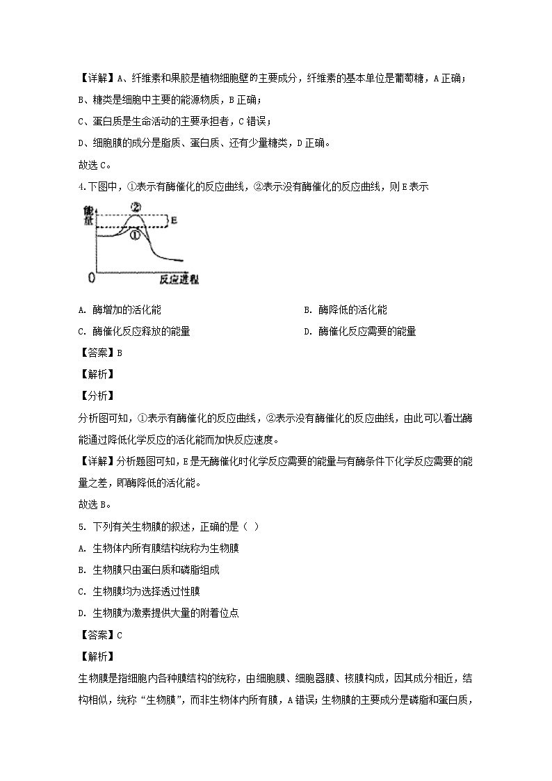 福建省宁德市2020届高三上学期期中考试生物试题02