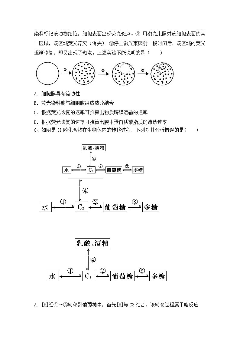 福建省莆田第一中学2020届高三上学期期中考试生物试题03