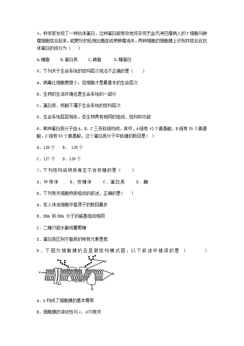 福建省莆田市第七中学2020届高三上学期期中考试生物02