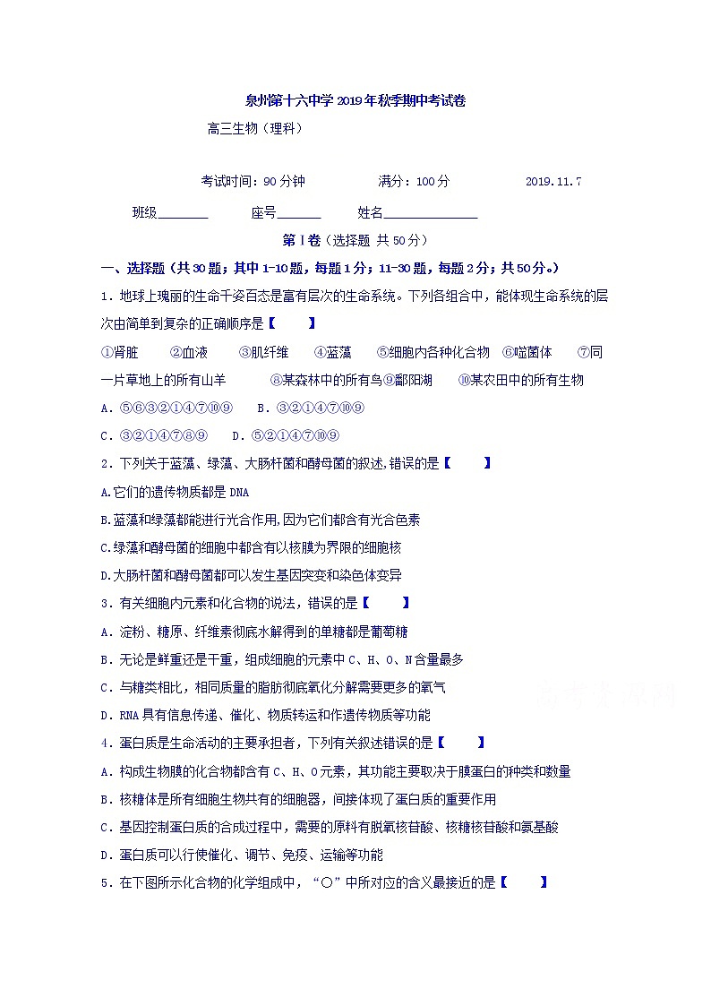 福建省泉州第十六中学2020届高三上学期期中考试生物试题01