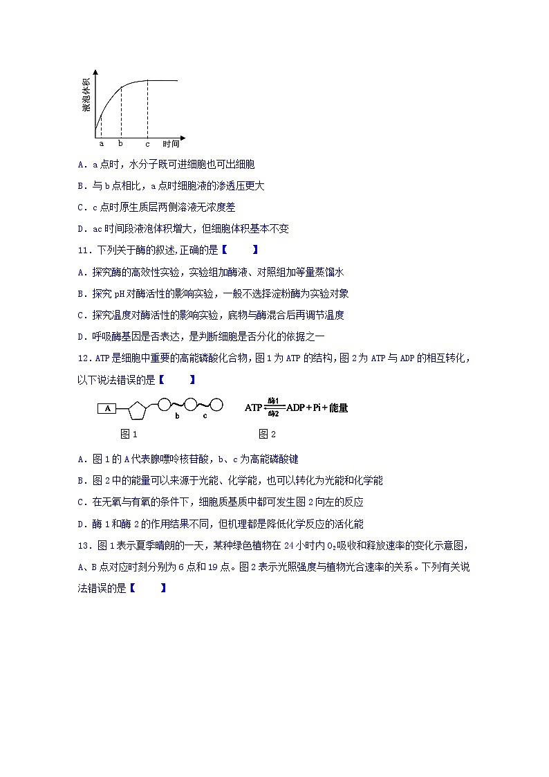 福建省泉州第十六中学2020届高三上学期期中考试生物试题03