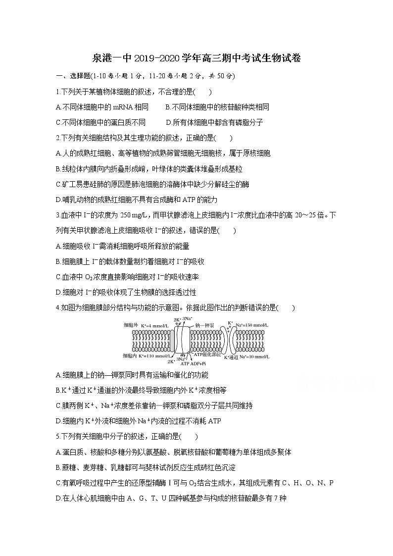 福建省泉州市泉港区第一中学2020届高三上学期期中考试 生物01