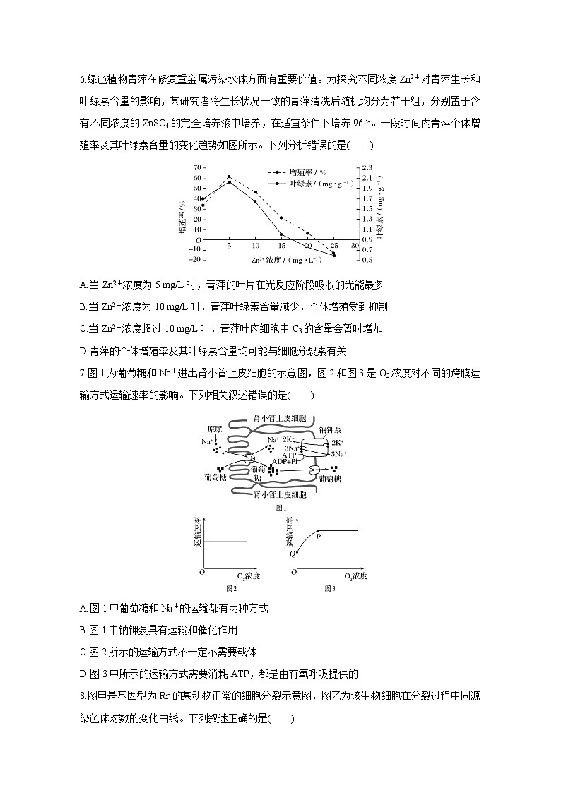 福建省泉州市泉港区第一中学2020届高三上学期期中考试 生物02