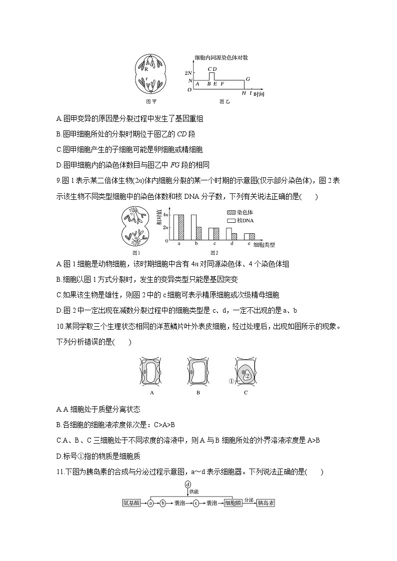 福建省泉州市泉港区第一中学2020届高三上学期期中考试 生物03