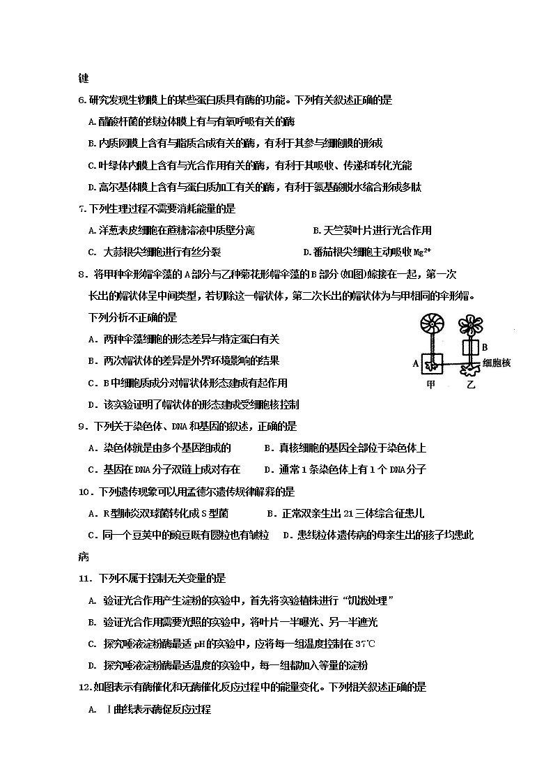 福建省厦门市湖滨中学2020届高三上学期期中考试生物试题02