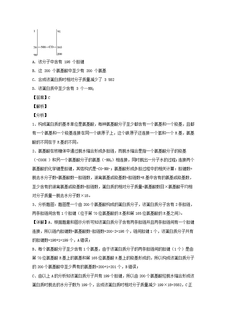 福建省厦门市双十中学2020届高三上学期期中考试生物试题02