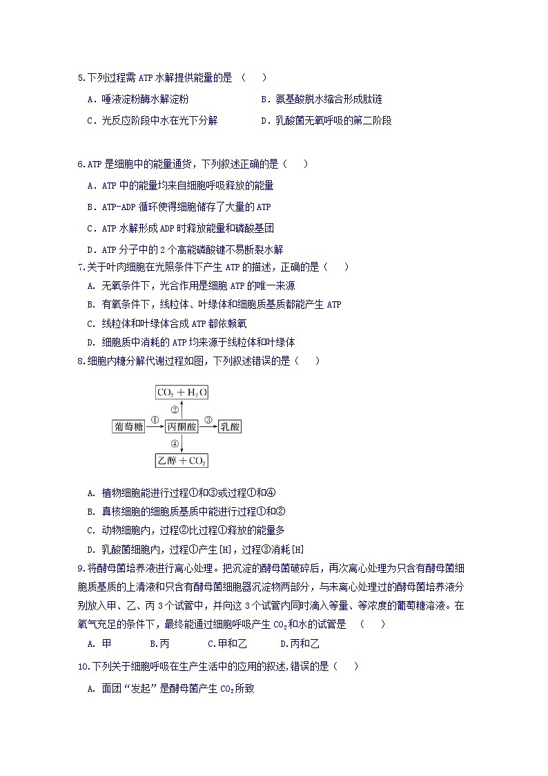 福建省师范大学附属中学2020届高三上学期期中考试生物试题02