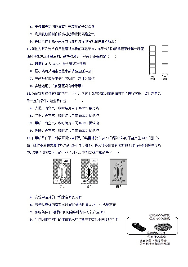 福建省师范大学附属中学2020届高三上学期期中考试生物试题03