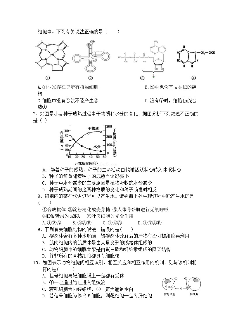 福建省永泰县第一中学2020届高三上学期期中考试 生物02
