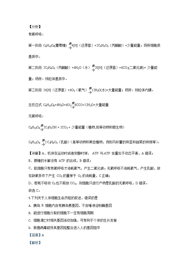 甘肃省兰州市一中2020届高三上学期期中考试生物试题03